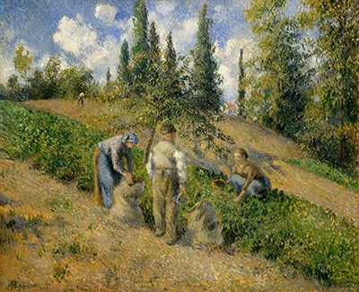 The Harvest, Pontoise Camille Pissarro